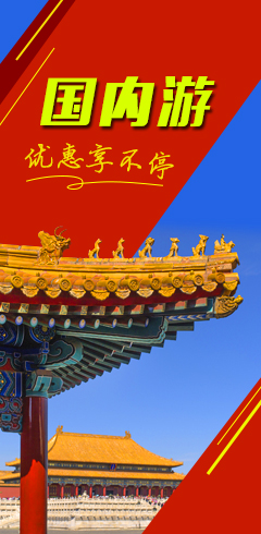 国内
